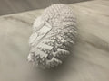 Spike fidget ￼